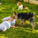 pet-friendly Prescott
