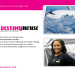 Destiny House graphic with an Alaska Airlines jet above clouds and a smiling flight attendant standing in an airplane aisle