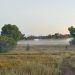 Morning fog resting low over the water at Willow Lake in Prescott, beyond tall grass and trees.